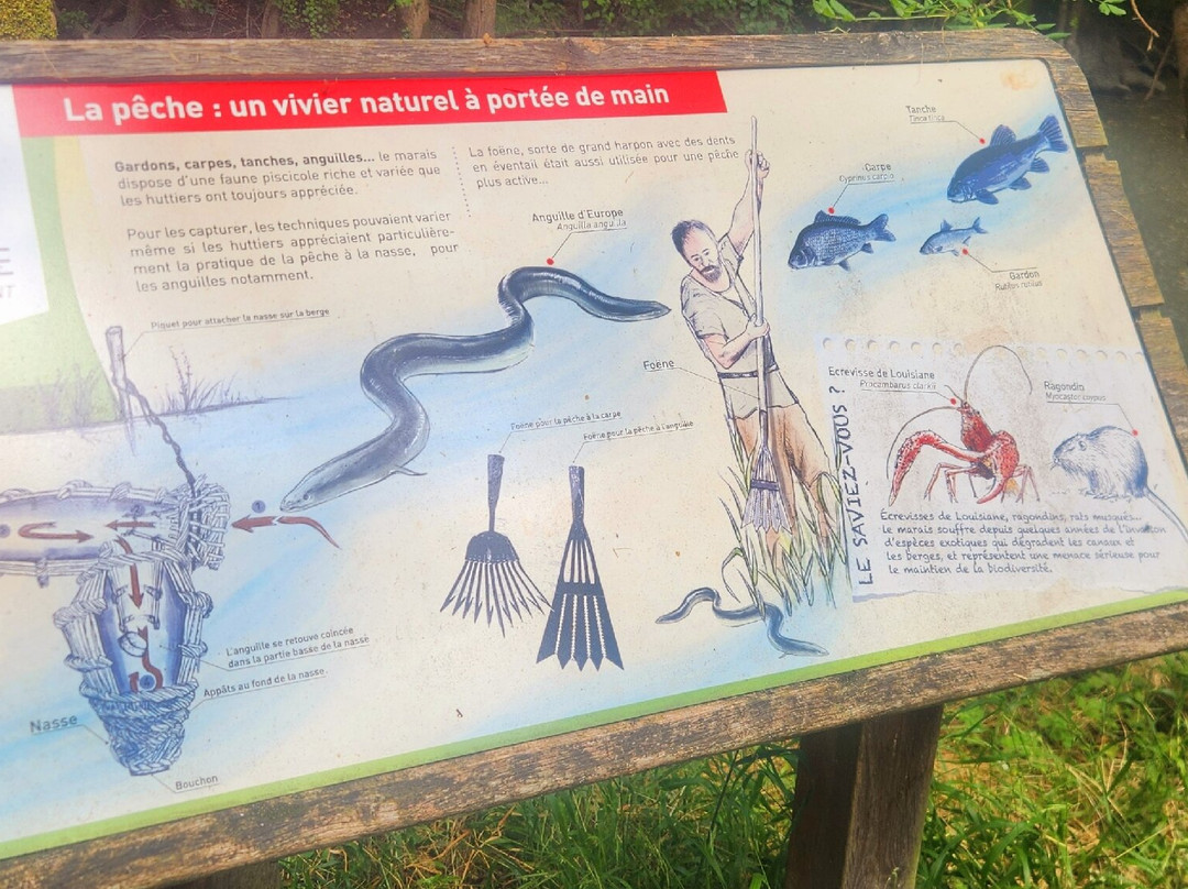 Réserve des Huttes-Nalliers必去景点