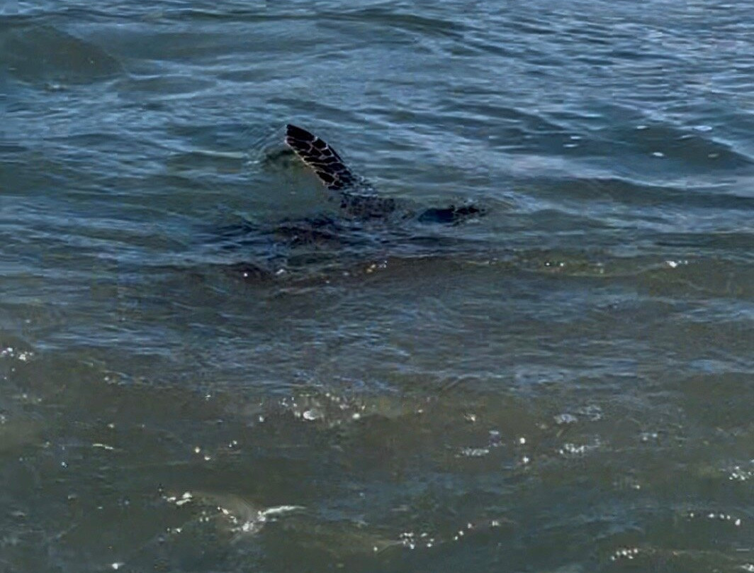 Oneuli Beach-维雷亚必去景点