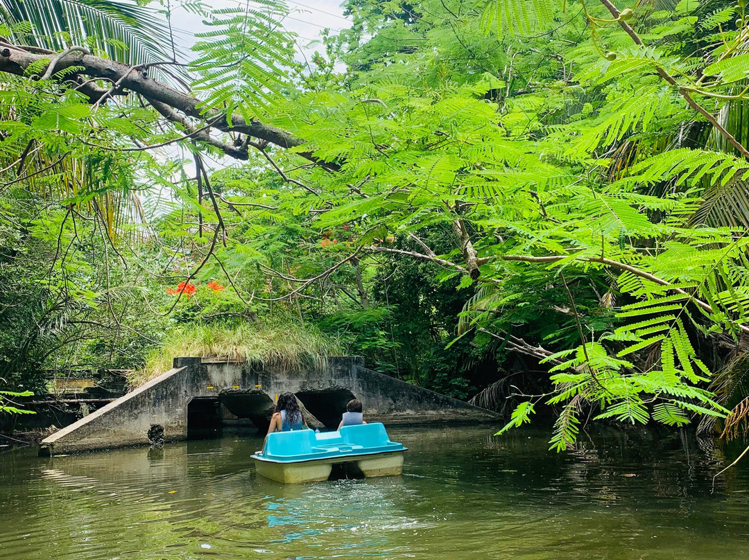 Reserva Natural de Humacao-Humacao必去景点