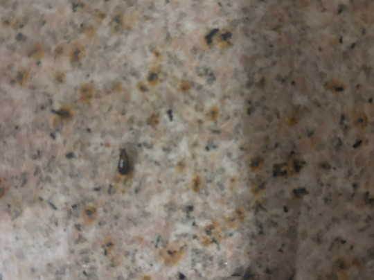 Cottonwood Airport & Expo Hotel Louisville主图