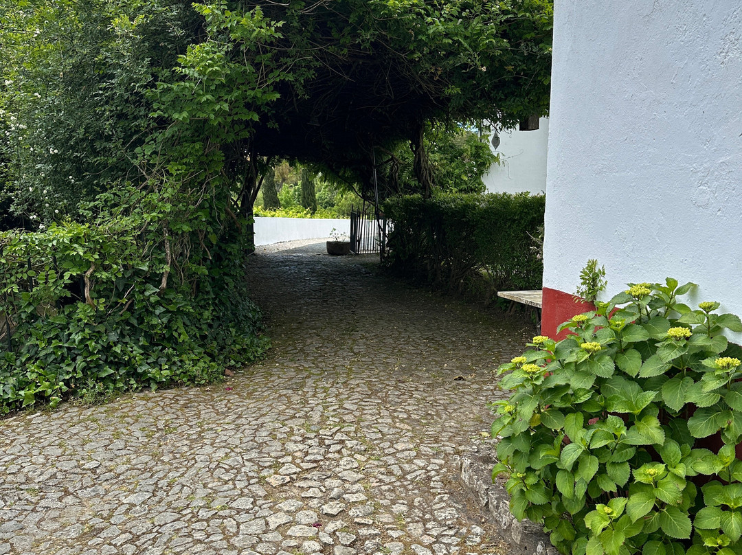 伊曼尼乡村楼主图