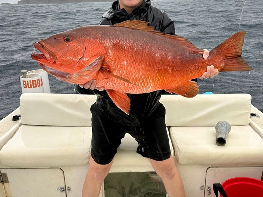 Feel Free Panama-波魁特必去景点