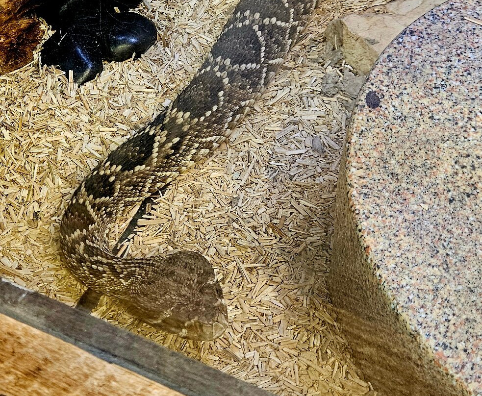 Busch Wildlife Sanctuary at Abramson & Schlaggar Reserve-朱庇特必去景点