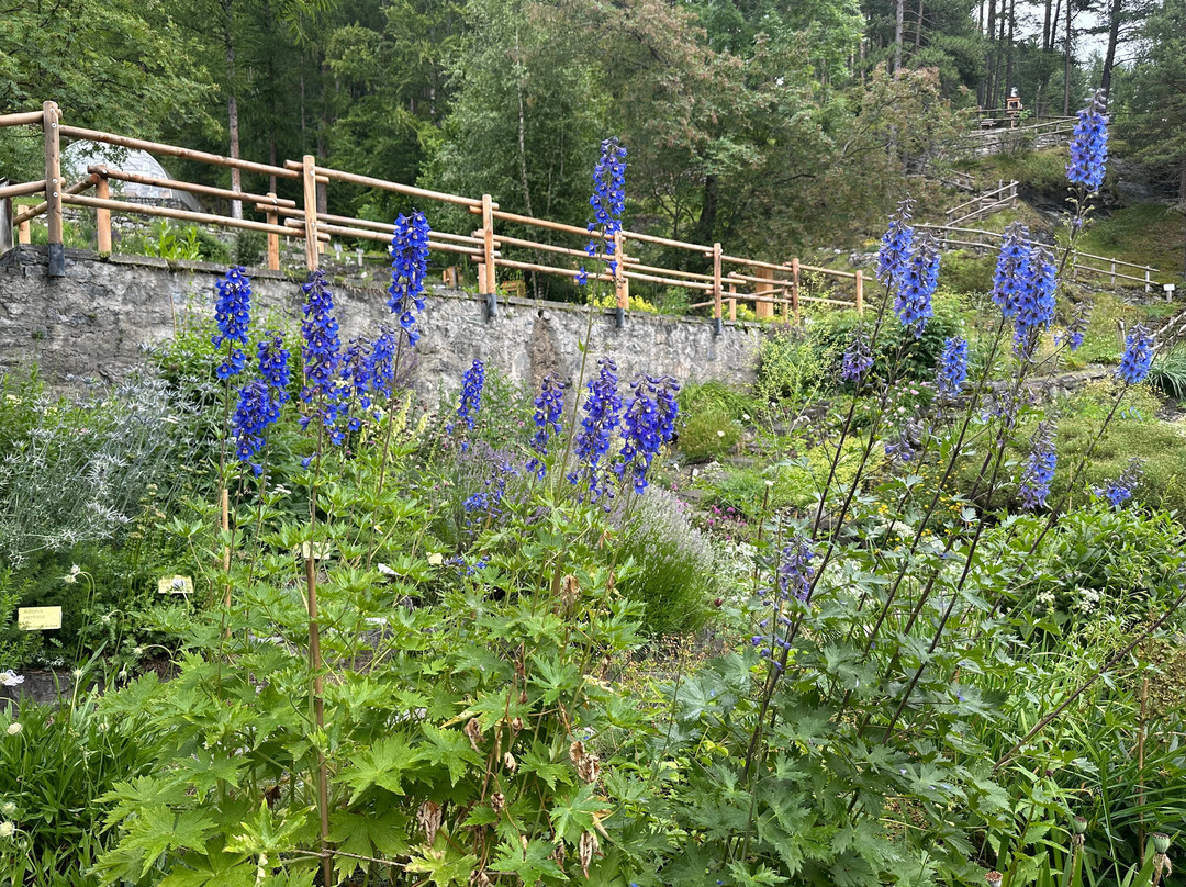 Giardino Botanico Alpino "Rezia"