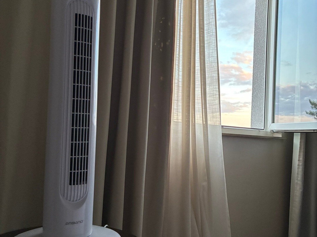 新罕布什尔斯图加特机场店主图