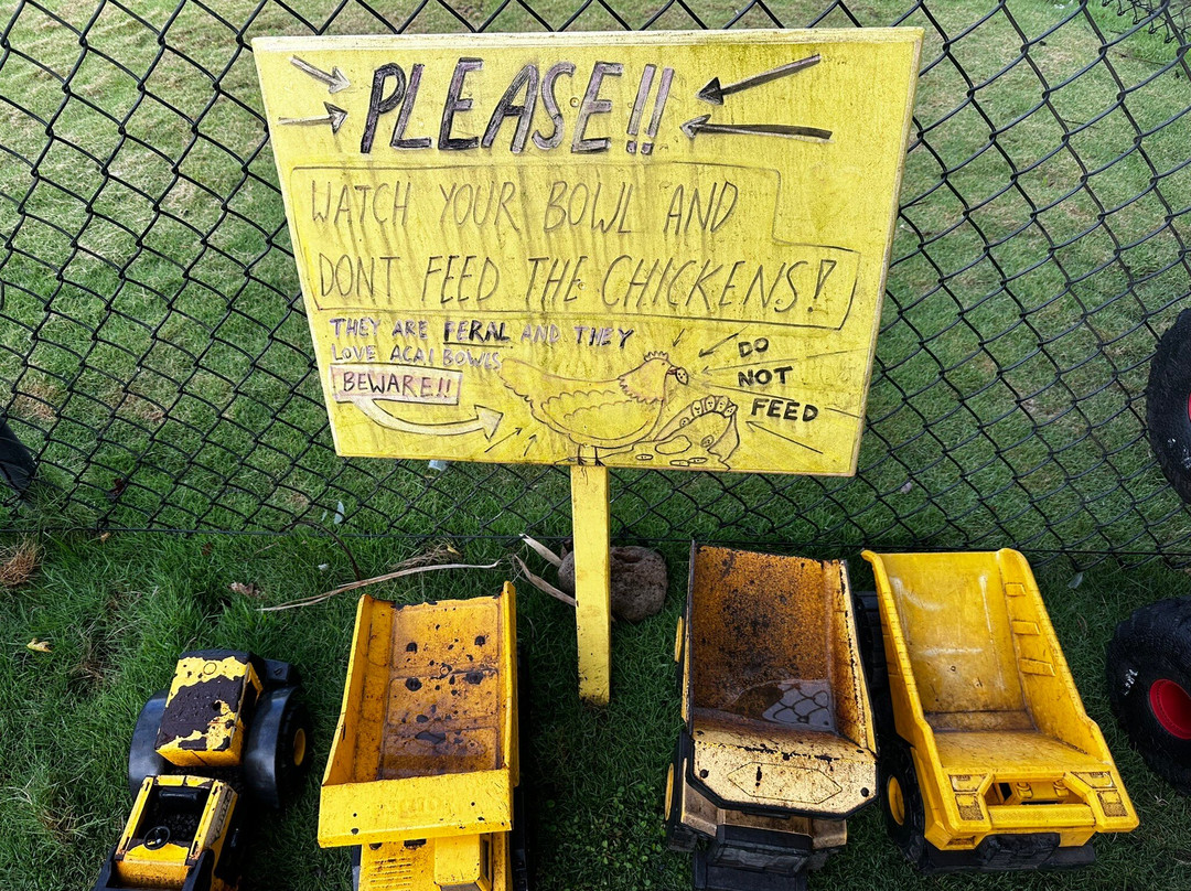 Wishing Well Coffee & Tea