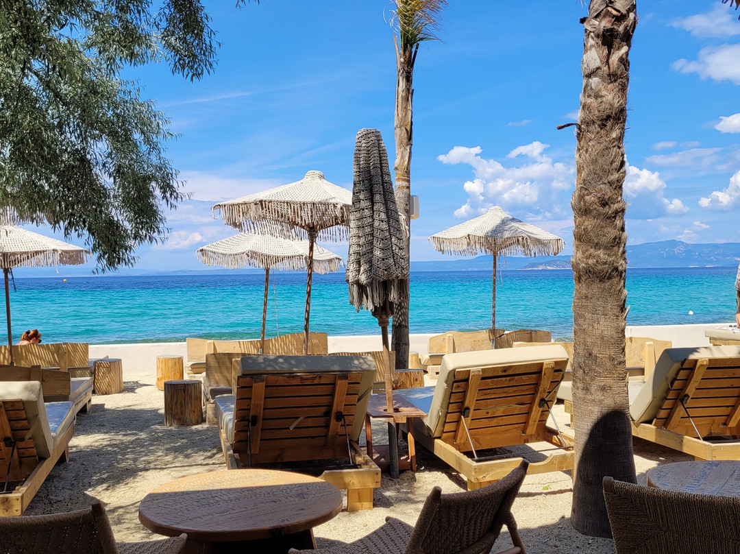 MAKO Sea & Suites主图