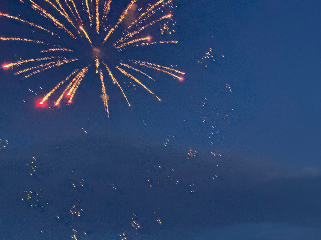 Cap'n Fish's Cruises-布斯贝港必去景点