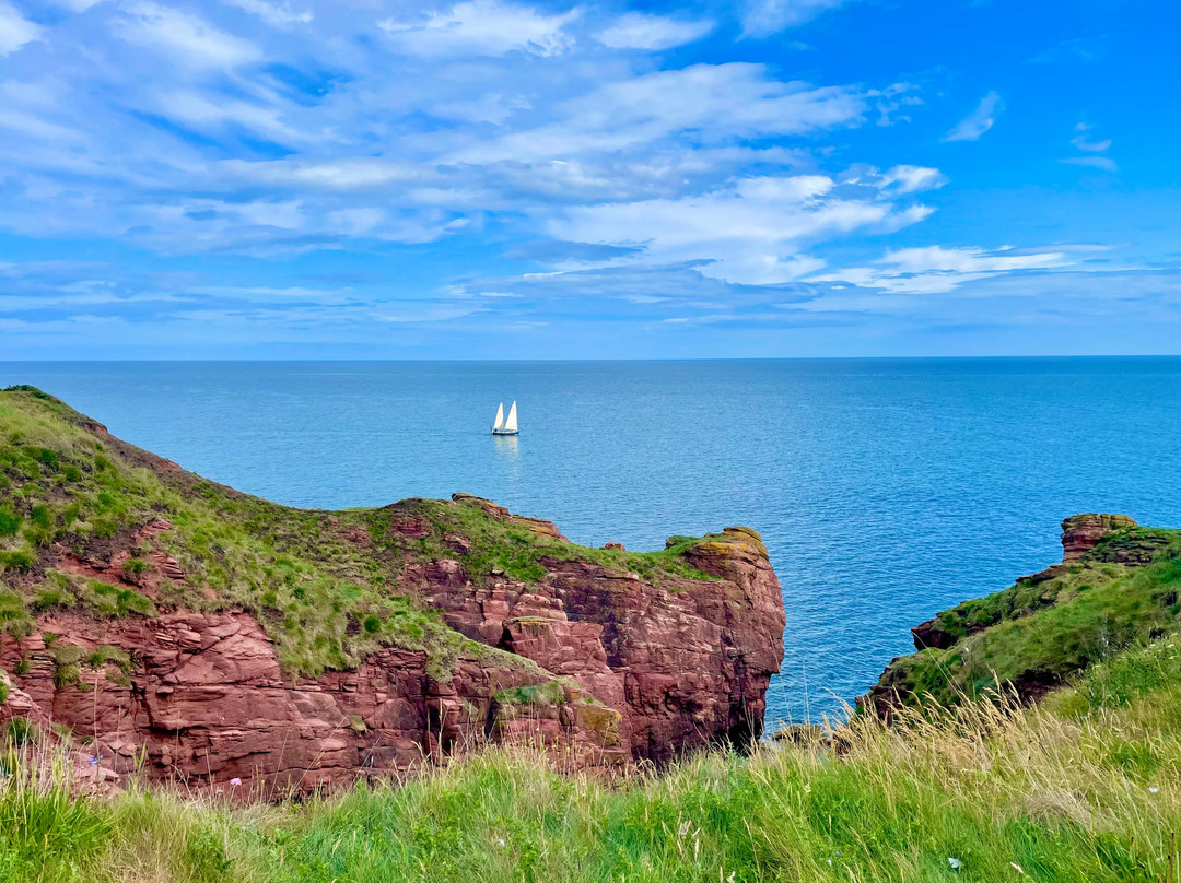 Arbroath Cliffs