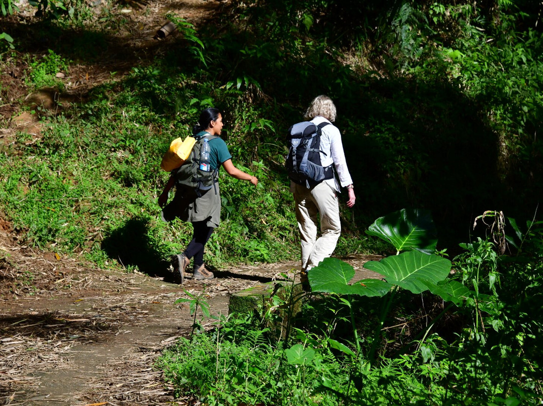 Toraja local guide-Tana Toraja必去景点
