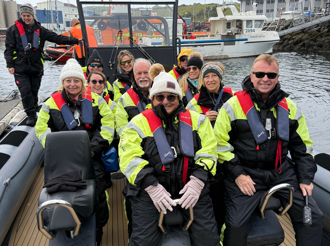 Ribsafari-韦斯特曼纳群岛必去景点