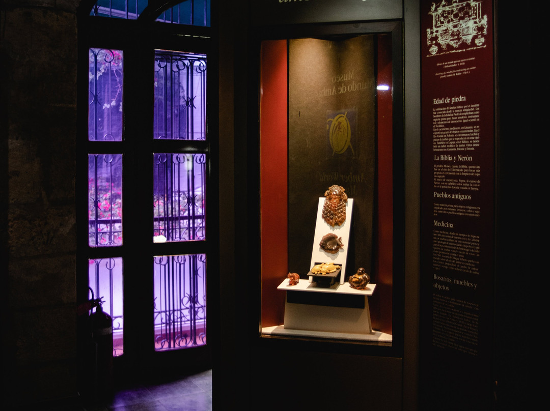 Amber World Museum-圣多明哥必去景点