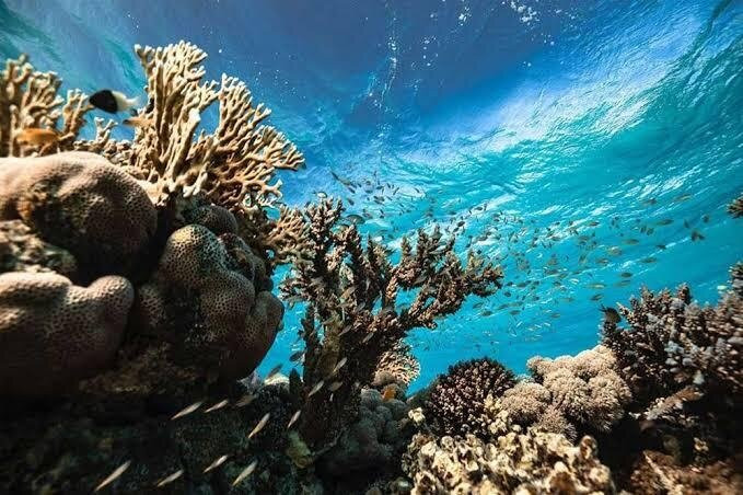Blue Sharm-沙姆沙伊赫必去景点