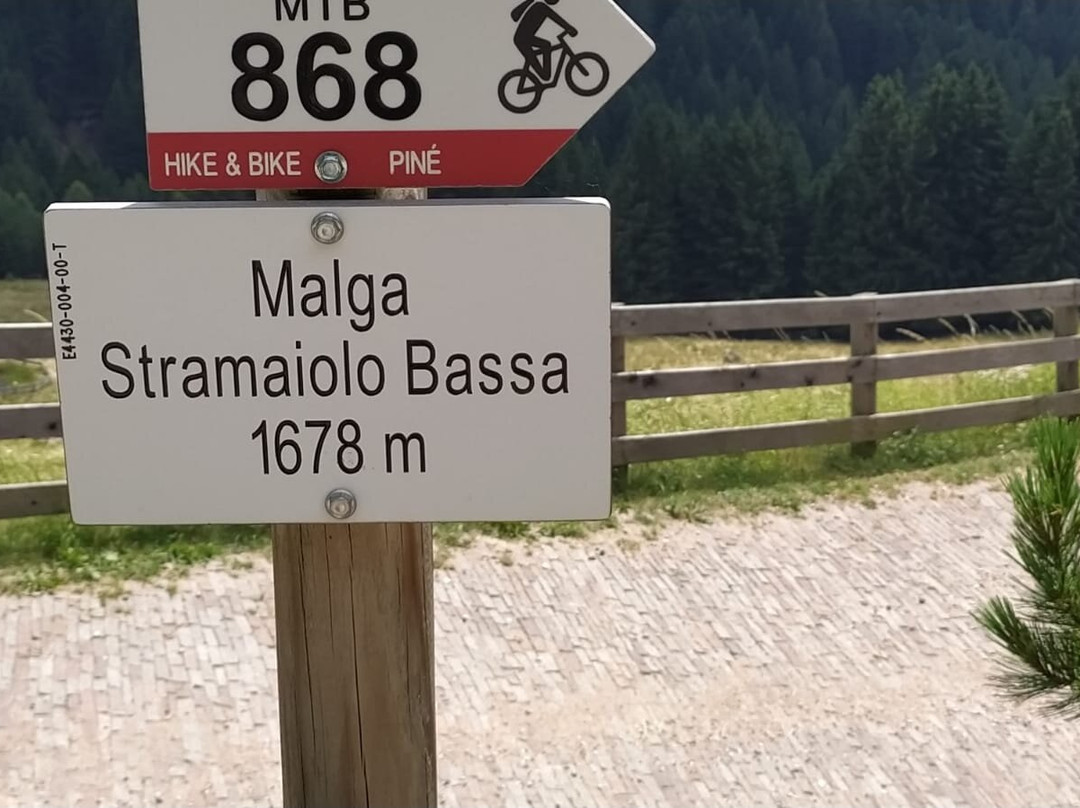 Bio Hotel Brusago Vital & Wellness主图