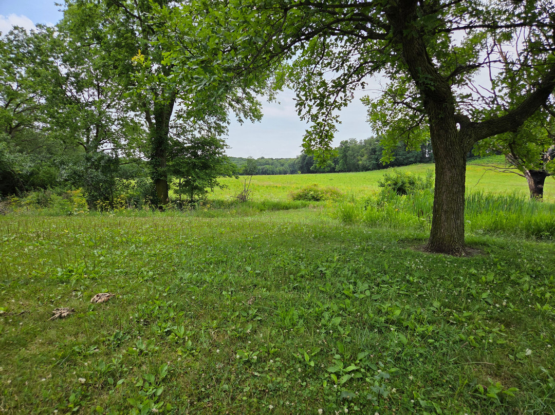 Franklin Creek Grist Mill-Franklin Grove必去景点