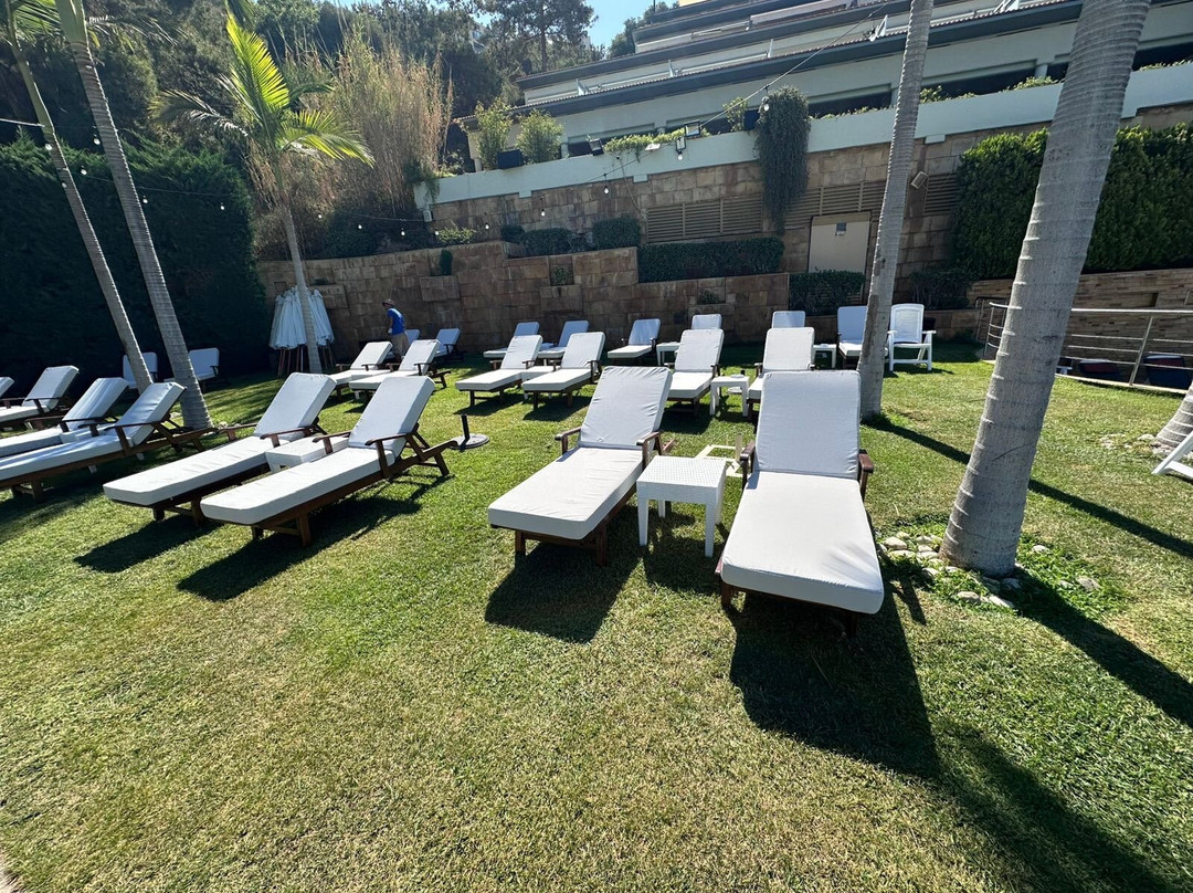 Monteverde Hotel主图