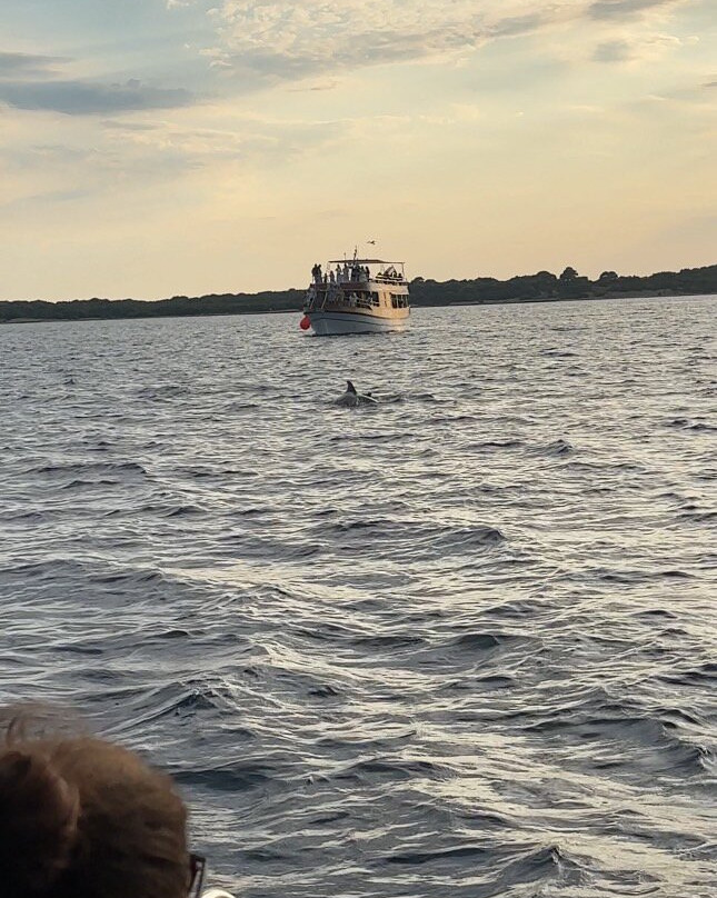 Andromeda Boat Rent Pula-普拉必去景点