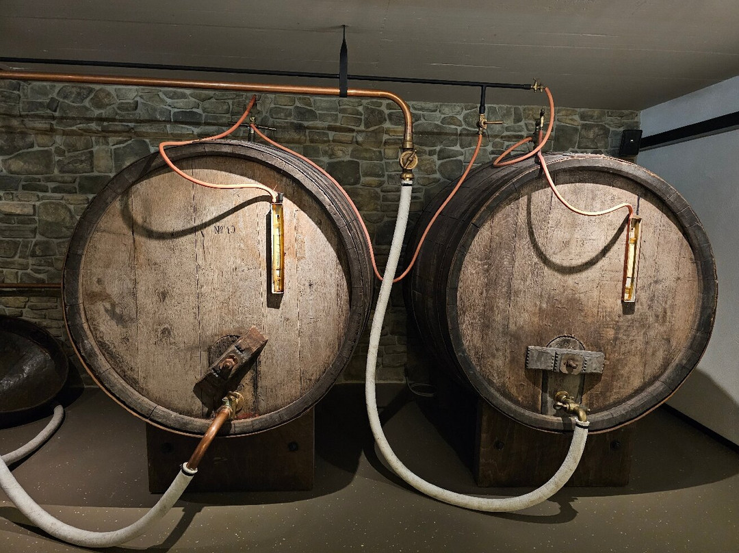 Mohrenbrauerei-多恩比恩必去景点