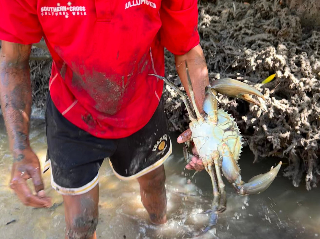 Southern Cross Cultural Tours at Lullumb-Dampier Peninsula必去景点