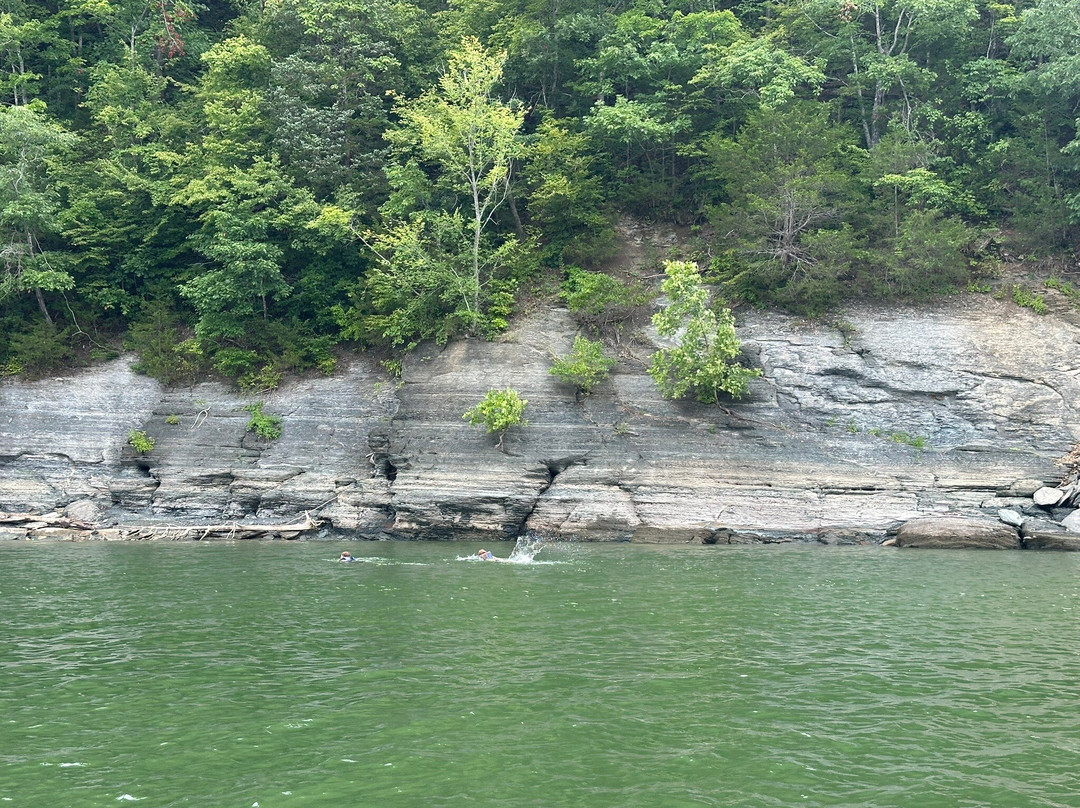 State Dock Marina-Jamestown必去景点