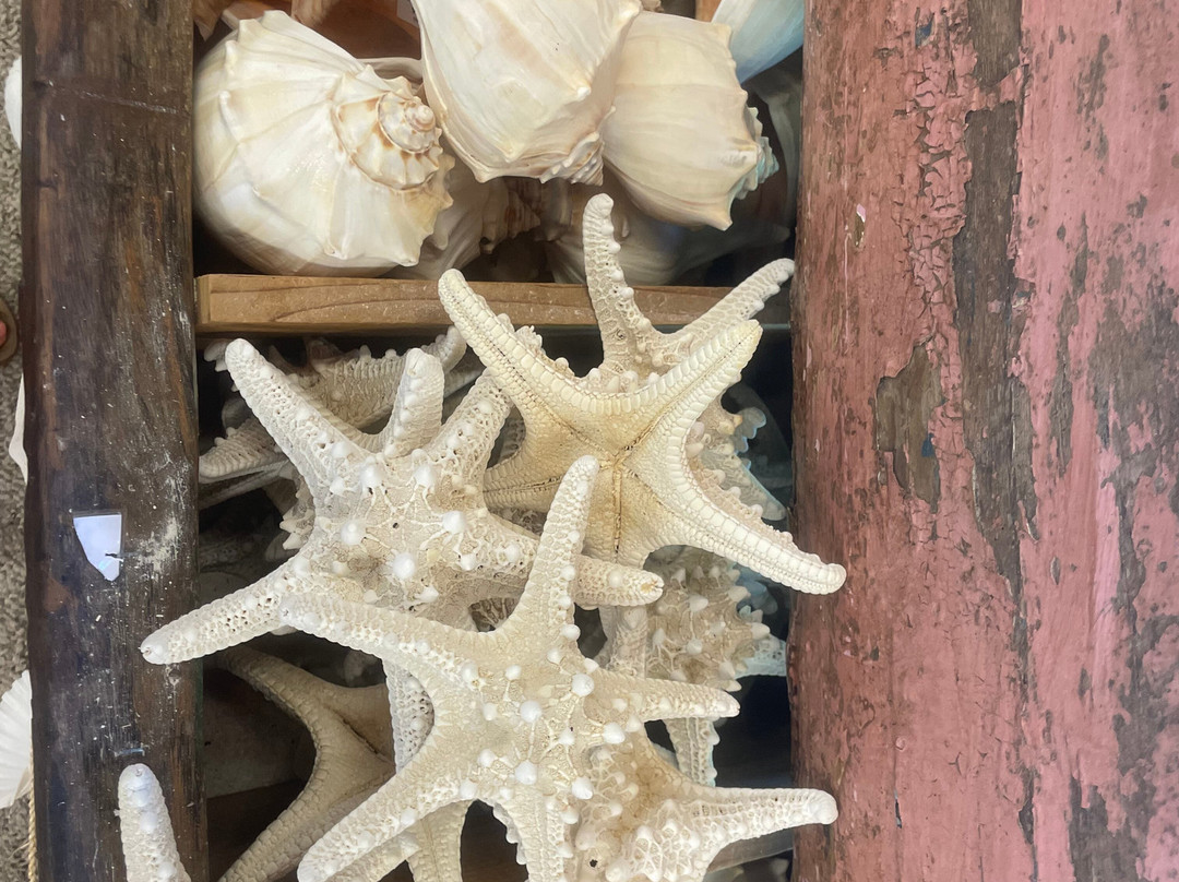 默特尔沙滩-美特尔海滩必去景点