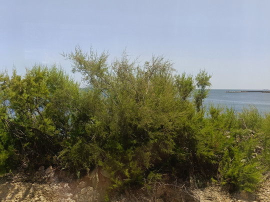 Cascais Train Station-卡斯凯什必去景点