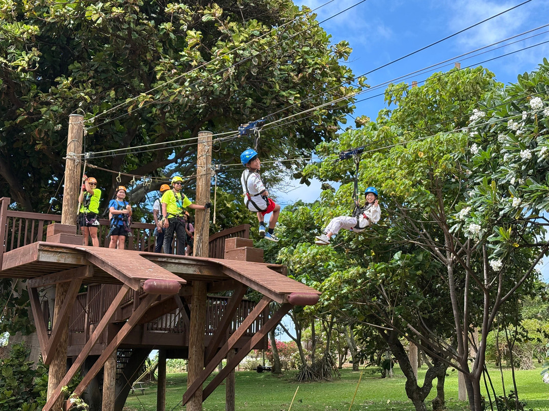 Maui Zipline Company-怀露库必去景点