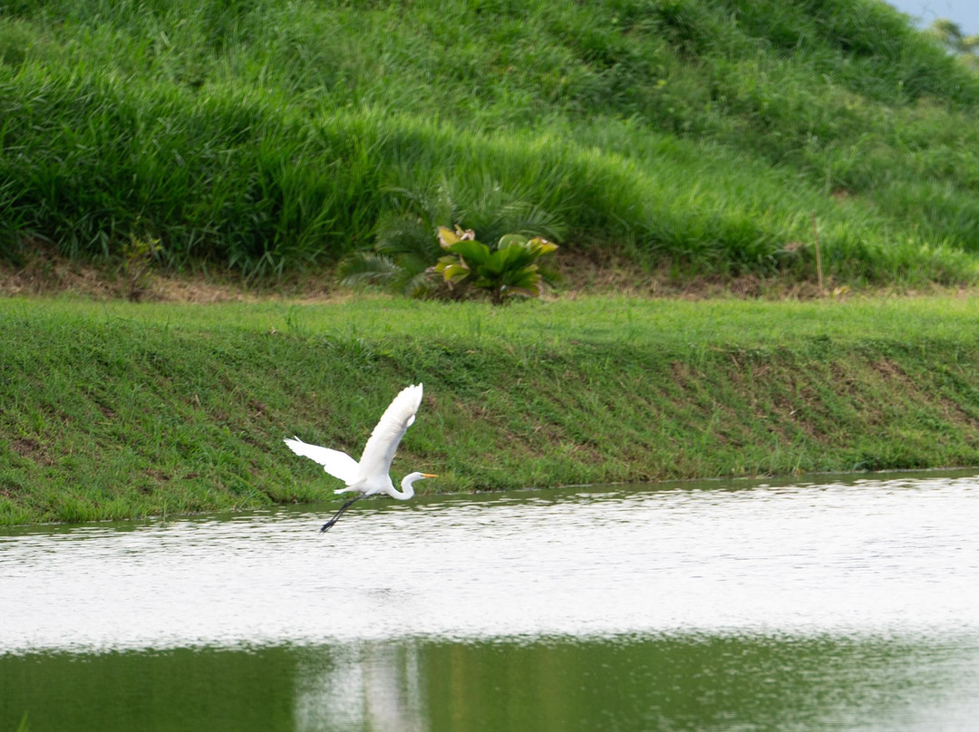 Lago Bay-Lagartero必去景点