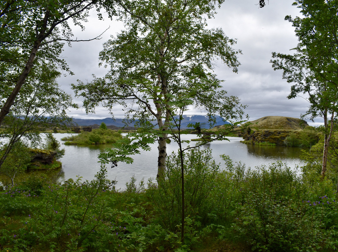 Hofdi-米湖必去景点