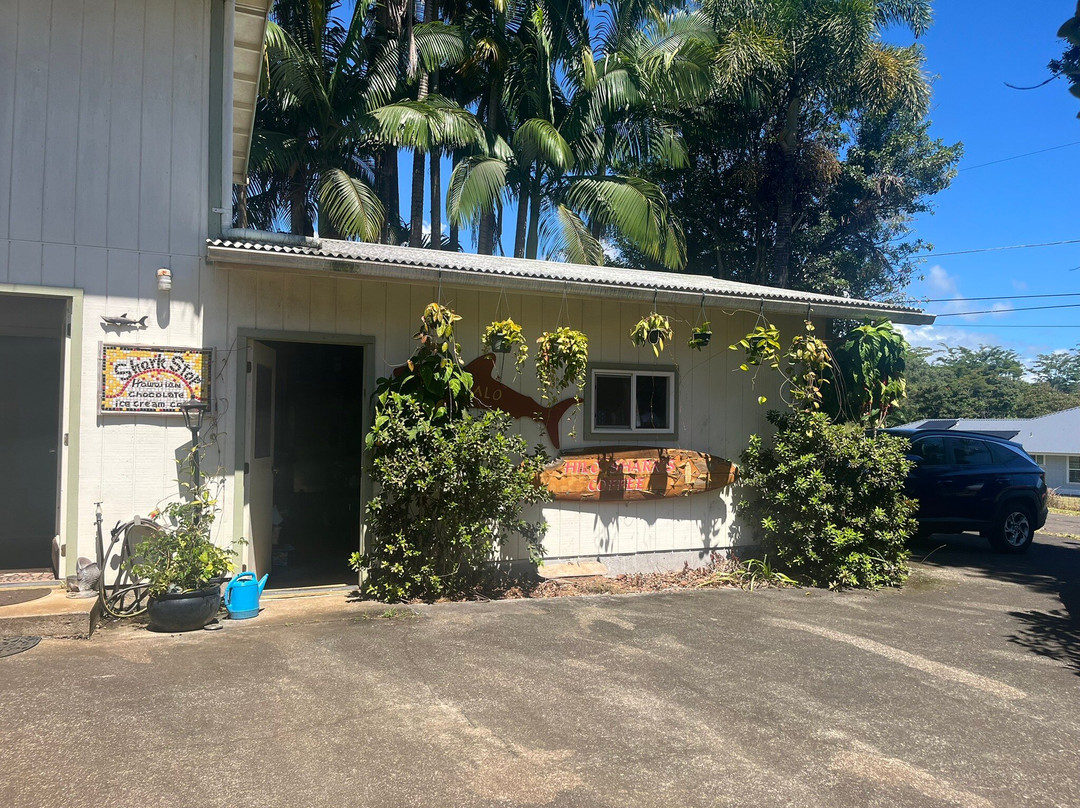 Hilo Shark Tours-帕派科欧必去景点