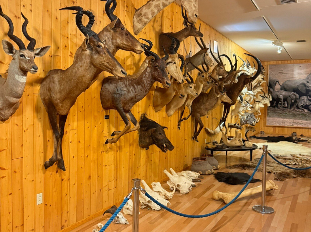 B-Square Ranch-法明顿必去景点