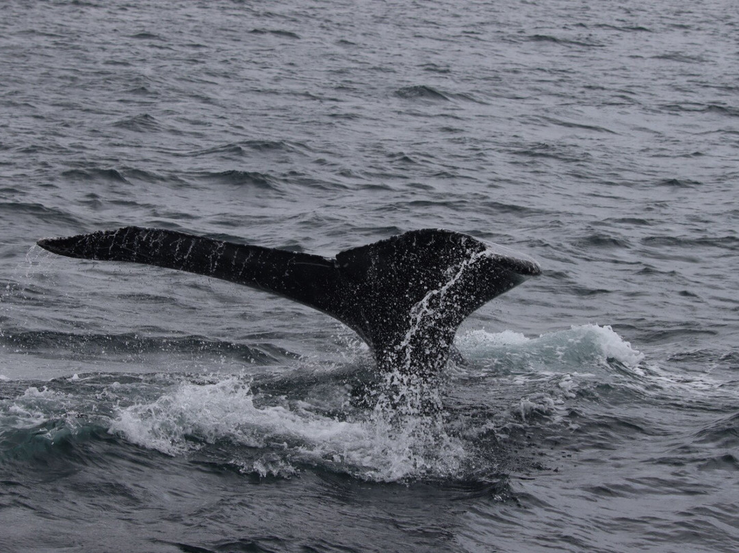 Palo Santo Travel Ecuador-Puerto Lopez必去景点