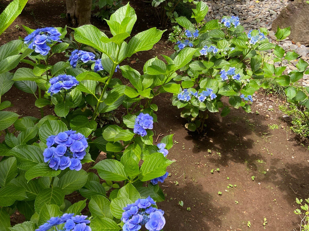 Ebara Hatakeyama Museum Of Art-Shirokanedai必去景点