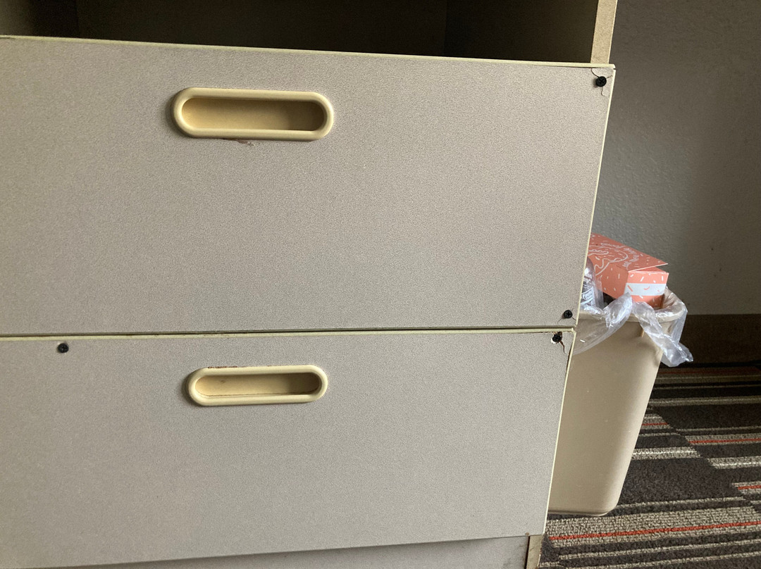 Microtel Inn & Suites By Wyndham Appleton主图