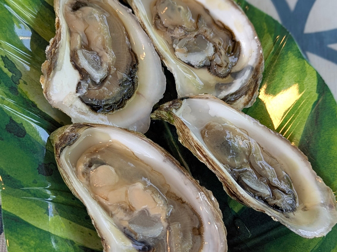 Experience PEI-夏洛特镇必去景点