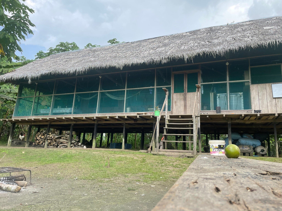 Amazon Tucuxi Lodge