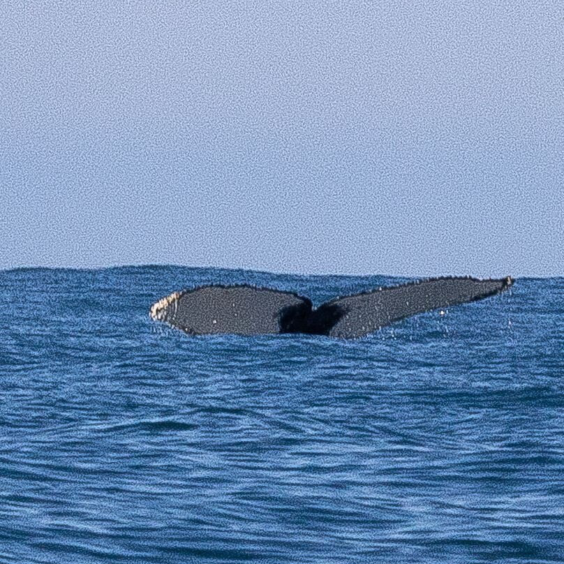 Maremar Turismo-伊利亚贝拉必去景点