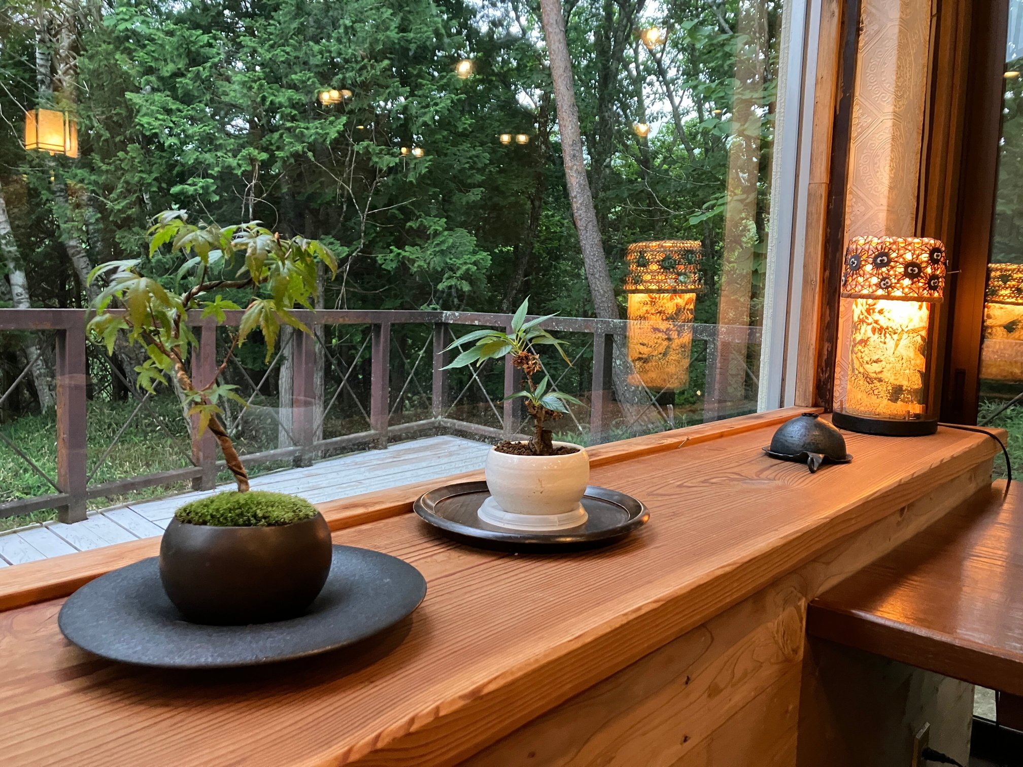 Shibu Tatsunokan-酒店景观