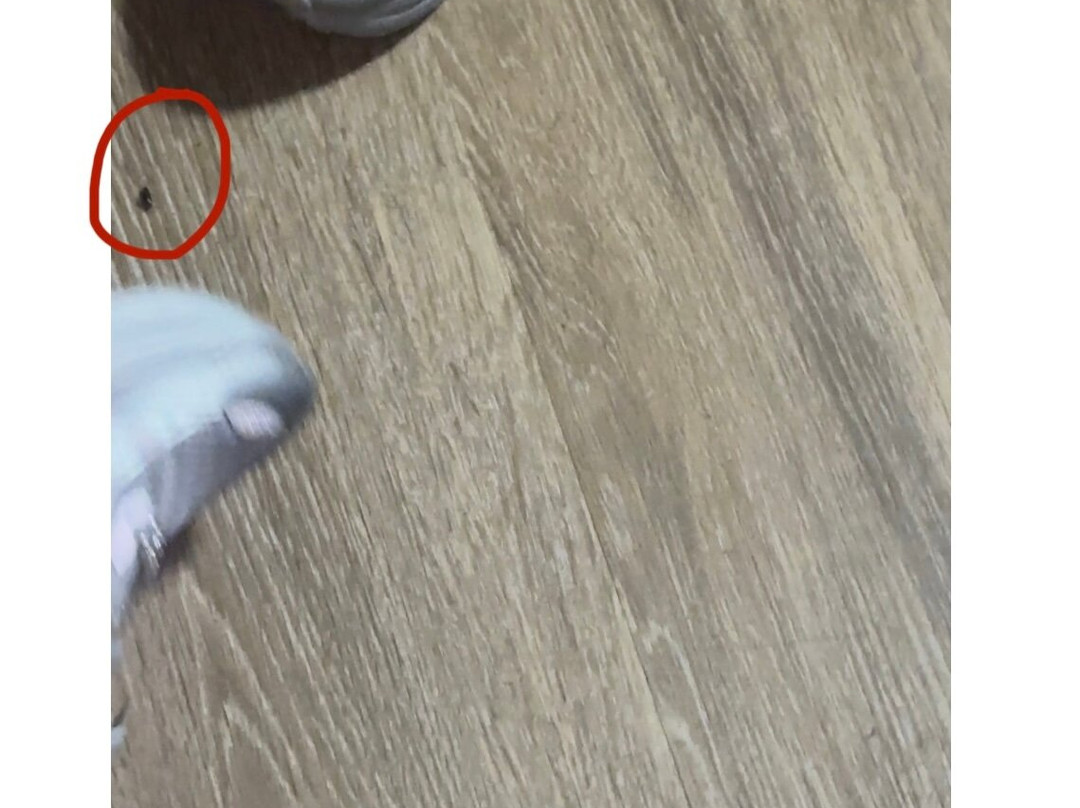 Red Roof Inn Tampa Brandon主图