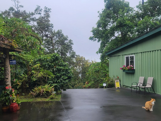 雷鸣山咖啡种植园-凯鲁瓦-柯纳必去景点