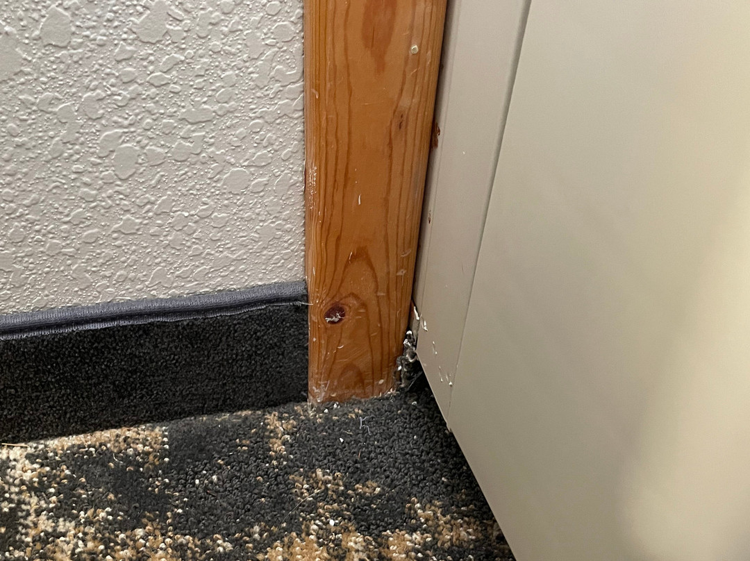 Best Western Plus Riverfront Hotel And Suites主图