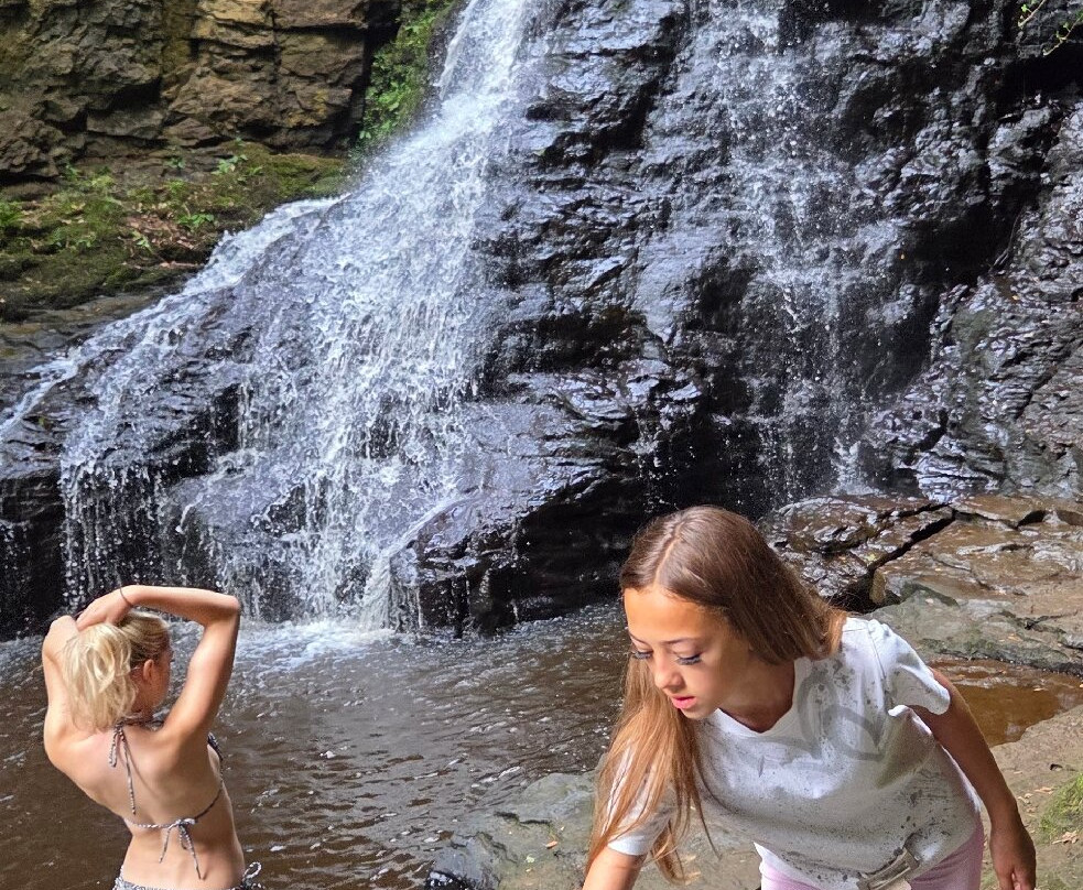 Hareshaw Linn Walk-Bellingham必去景点