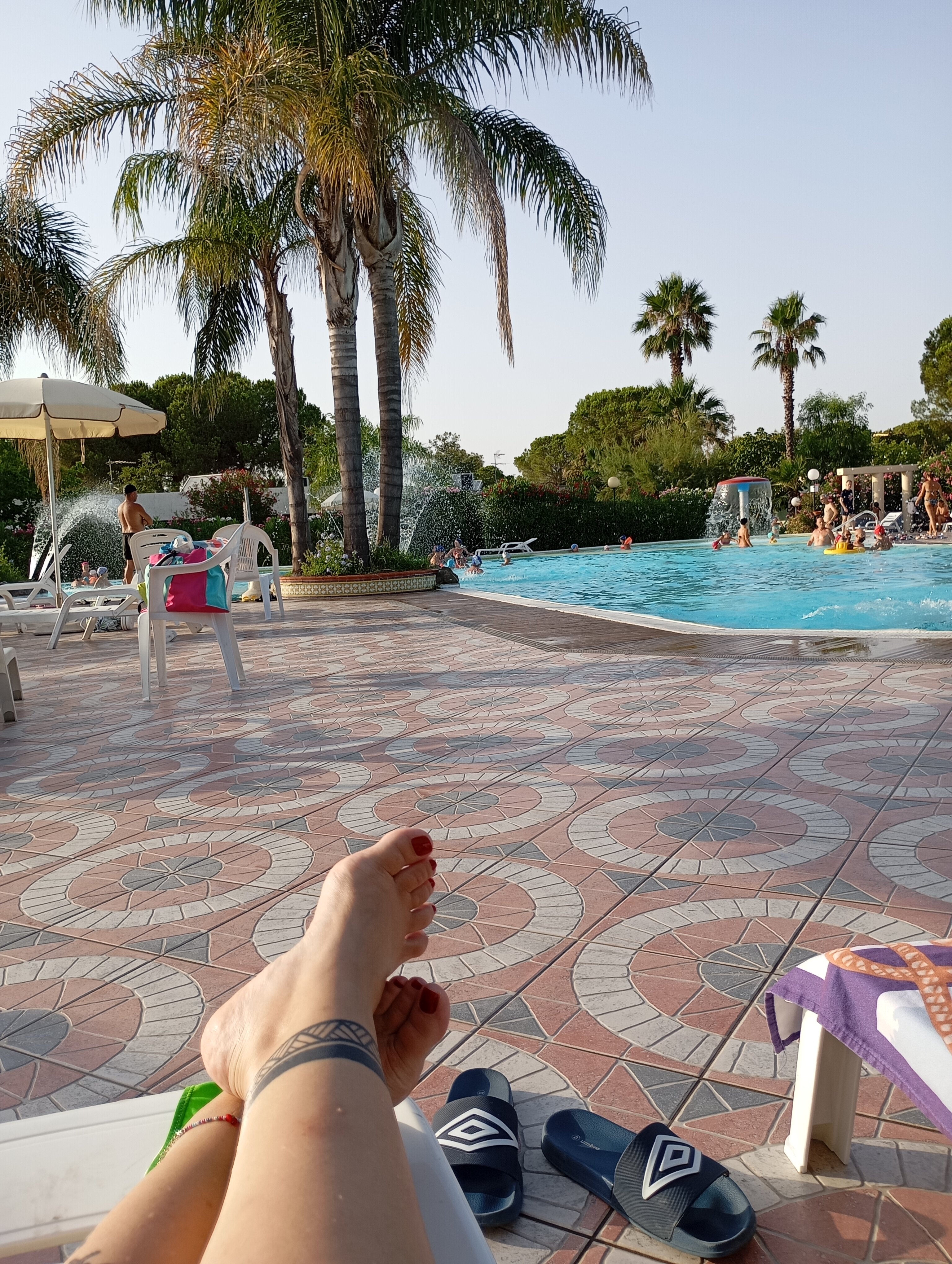 Alessidamo Club-官方