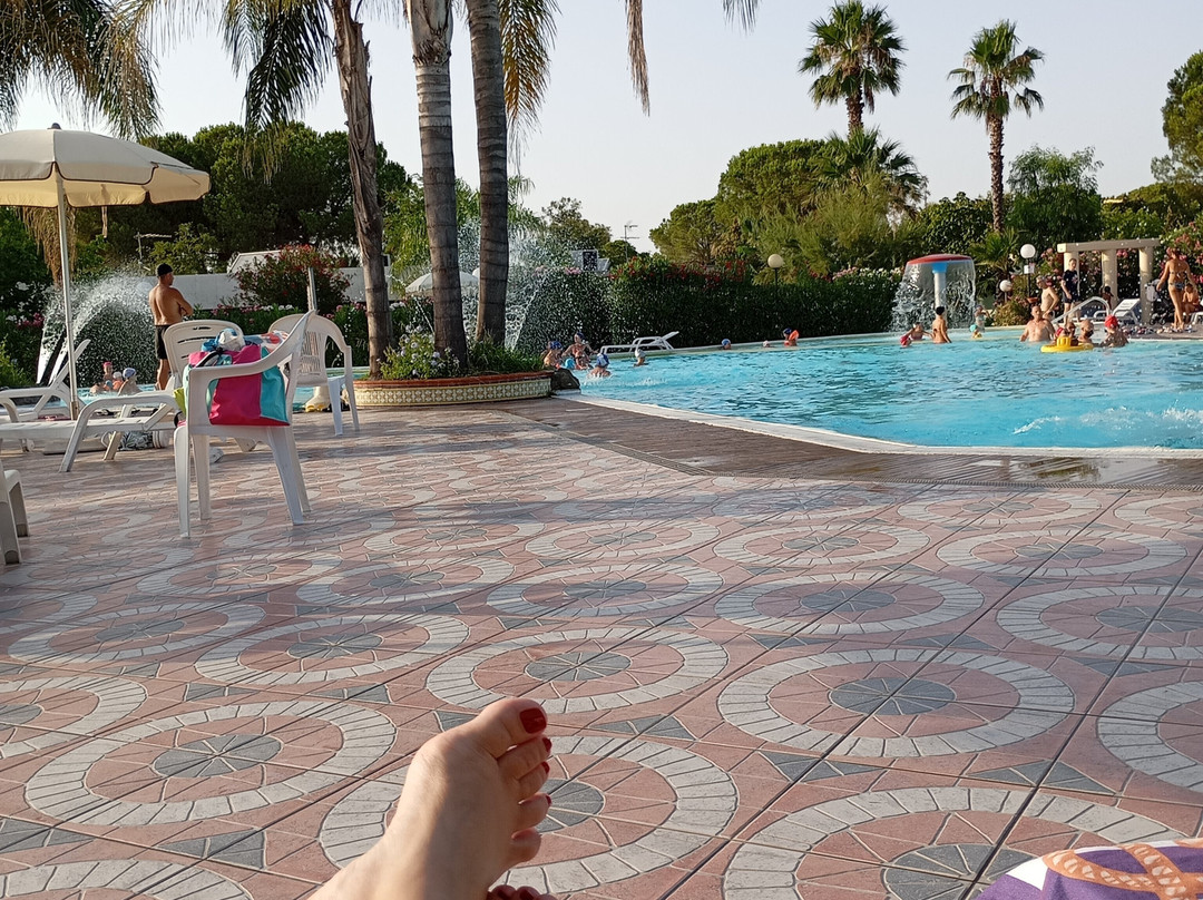 Alessidamo Club主图