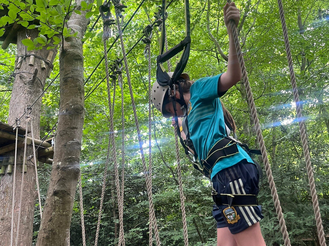 Squirrel Scramble-布瑞必去景点