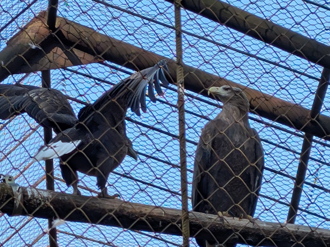 Zoopark Kaunas-考那斯必去景点