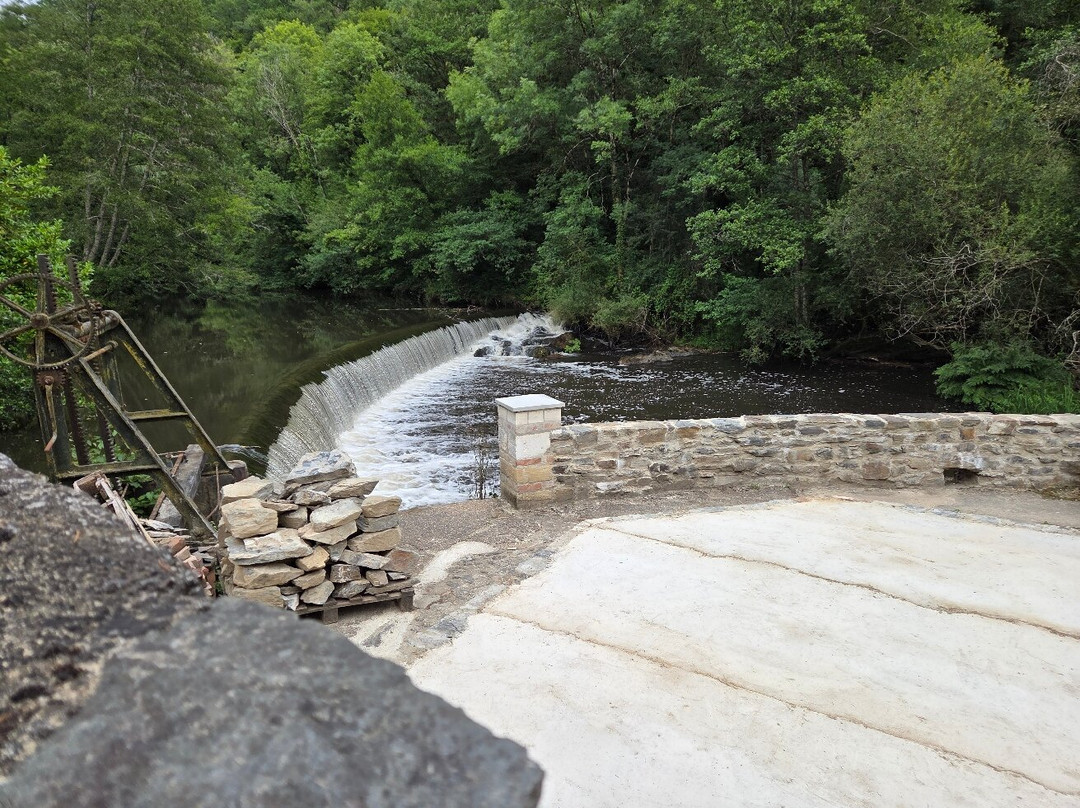 Domaine De La Brugere主图