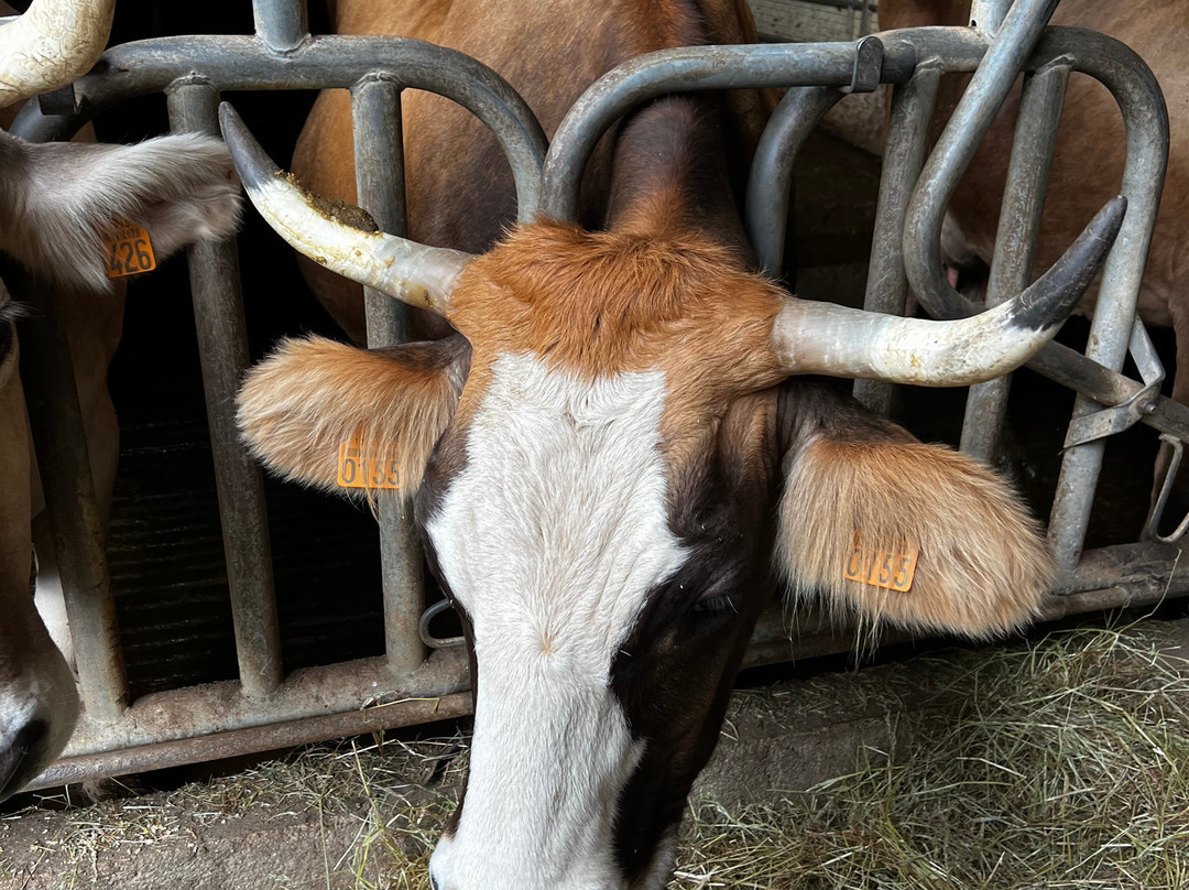 La Ferme De Dilhac-Lacroix-Barrez必去景点