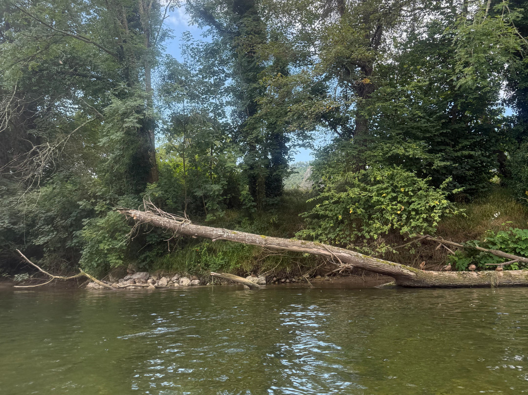 Cangas Aventura-Arriondas必去景点