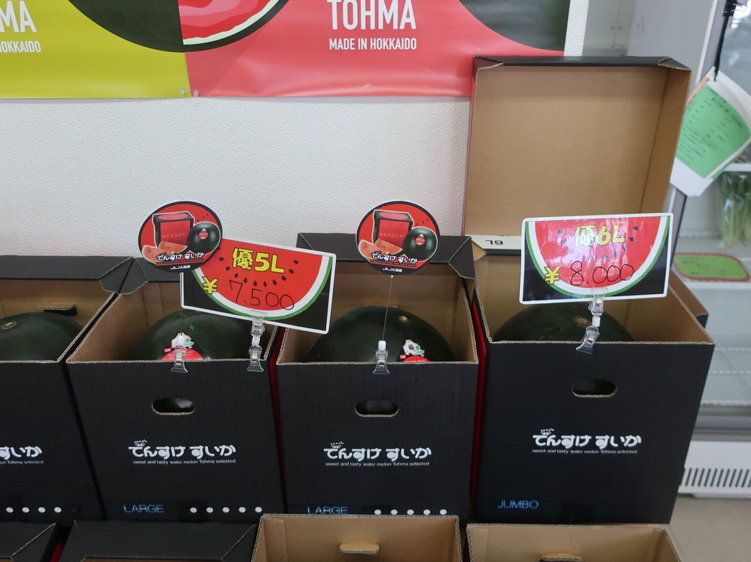 Michi-no-Eki Toma-当麻町 必去景点